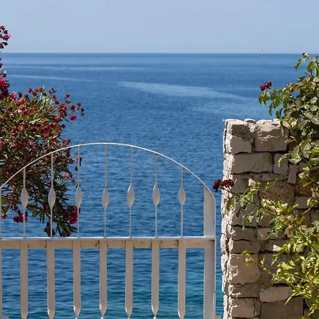 Planka Pearl Гостевой дом Ражань