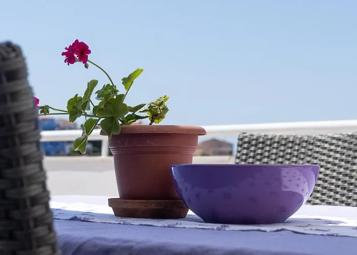 Gasthuis Planka Pearl